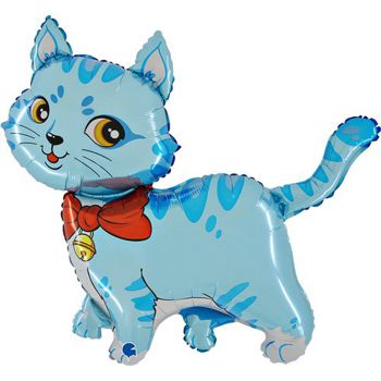 GR37 Katze blau