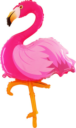 248GR36 verspieltes Flamingo